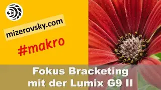 Fokus Bracketing und Stacking mit der Lumix G9 II - mizerovsky.com