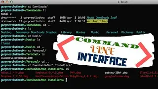 Command Line Interface (How to use the terminal )