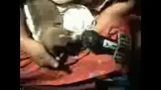 Знамение | Новорожденный щенок произносит имя Аллаха!