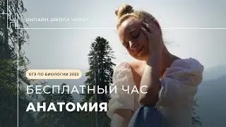 АНАТОМИЯ ЕГЭ ПО БИОЛОГИИ / НОО