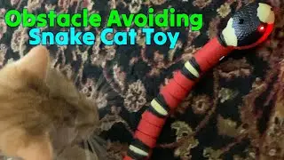 Obstacle Avoiding Robotic Snake Cat Toy Tested ⭐ Gadgetify