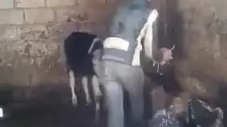 Вот это да 😃😃😃