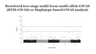Haplotype-based GWAS analysis using rtm-gwas software. A quick GWAS tutorial