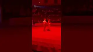 Ходите в цирк. Тут круто.