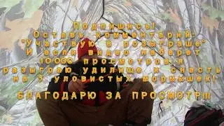 Зимняя рыбалка на славянский Новый Год )))