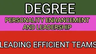 Building and leading efficient teams
