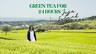Green Tea Tour in Jeju Island with Innisfree #GIVEAWAY