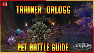 Trainer Orlogg Pet Battle Guide - Zaralek Cavern - Dragonflight