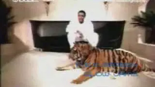 lsg - Door#1.flv