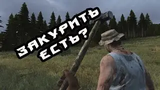 Раз в год (DayZ)