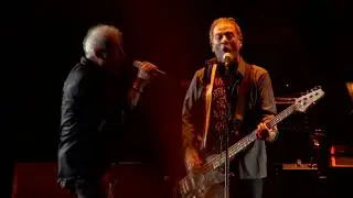 Buitres - Las Musas (En Vivo)