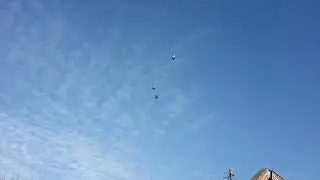 Николаевские голуби. Снимаем видео. За кадром