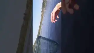 15 января 2020 г.