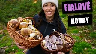 Sbírám podzimní houby - Čirůvka fialová, lakovka ametystová, václavky, hřiby