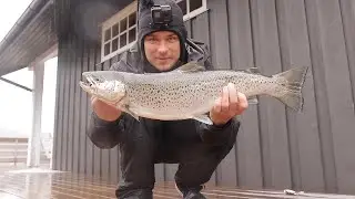 Ett år som Fiskegal - Fangstene du aldri fikk se