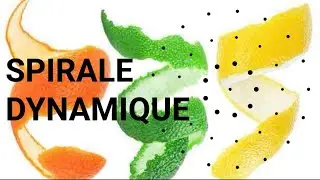 ÉVOLUTION D’ORANGE À JAUNE (Spirale Dynamique) | Podcast