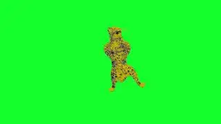 Leopard Dancing on Green Screen 4K