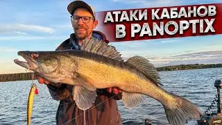 How and WHAT to Catch Big Walleye / SECRETS of Trophy Fishing with Garmins Panoptix
