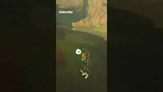 i didnt miss it #zelda #botw #gaming #nintendo #viralvideo #funny