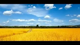 ТОП 10 ГОРОДОВ УКРАИНЫ ГДЕ МОЖНО ОТДОХНУТЬ