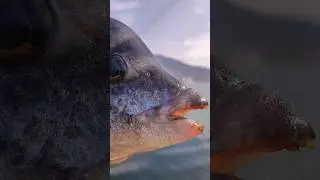 Зубарь до сих пор нас радует в Ялте. Морская рыбалка в Крыму.