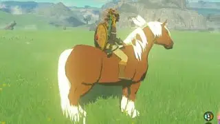 How to use Unlimited Amiibo Scan and get Epona in Tears of the Kingdom |Yuzu Emulator