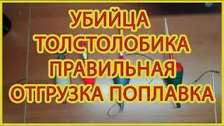 Снасть убийца толстолоба  Как правильно отгрузить поплавок