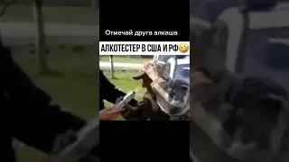 Алкотестер в РФ и США 