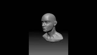 a simple sculpted head