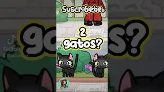 TUTORIAL PARA TENER 2 GATOS NEGROS 😍😻 