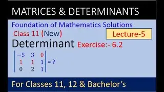 Determinants | determinant class 11 solutions | foundations of mathematics class 11 | class 11 NEB |