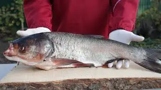 Hot smoked silver carp.