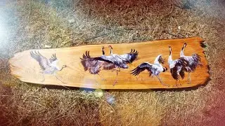Cranes dance. Drawing birds on wood