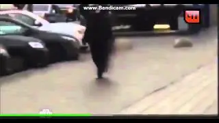 Хроники няни-убийцы: Бобокулова отрезала голову девочке, вернувшись из Узбекистана
Безумие, качающее