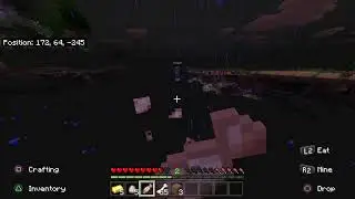 Minecraft Survival cuz y not