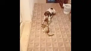 Кто кого?