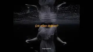 Cem Adrian & Aylin Aslım - Herkes Gider Mi ( sözleri / lyrics )