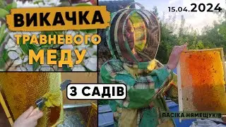 Весняний мед з садів! Викачка першого меду! Який результат?