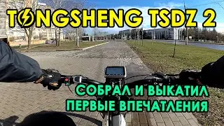 TONGSHENG TSDZ2 ⚡ ПЕРВЫЕ ВПЕЧАТЛЕНИЯ ⚡ почему именно этот мотор?