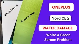 OnePlus Nord CE 2 Water Damage Mobile  White & Green Display Problem Repair