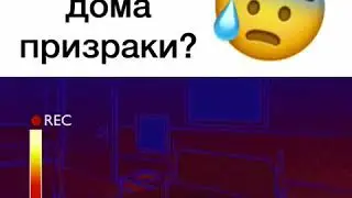 У вас тоже дома призраки?