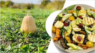 Так ТЫКВУ Вы еще не готовили! Тыква вкуснее мяса. В сезон Тыквы готовлю Вкуснейшее блюдо.