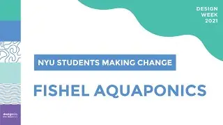 NYU Students Making Change: Fishel Aquaponics