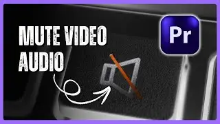 How to Mute Video Audio in Premiere Pro