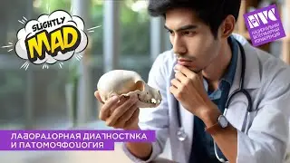 Светлана Шишканова о секции «Лабораторная диагностика и патоморфология»