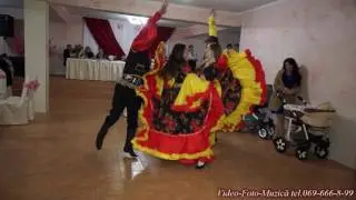 Servicii: Muzică-Video-Foto mob.069-666-8-99  tel.0236-3-00-99