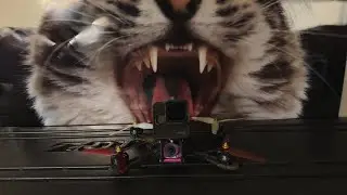 Trepid Moves Make Sick FPV
