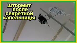31/5 23 ОДНИ УХОДЯТ-ДРУГИЕ ПРИХОДЯТ. ЗАРЕКАЛАСЬ НЕ ХОДИТЬ. СТАДО СЛОНОВ. БРОДЯТ ТОКАМИ.
