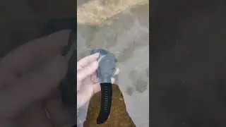 Garmin Fenix 7X Water Temperature Measurement