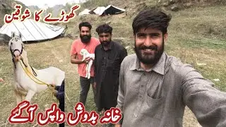 Random Meetup with nomads of jammu and Kashmir || بکروالی کتا 🐶